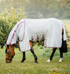 Amigo Bug Buster Vamoose NFZ Fly Sheet Detach-A-Neck
