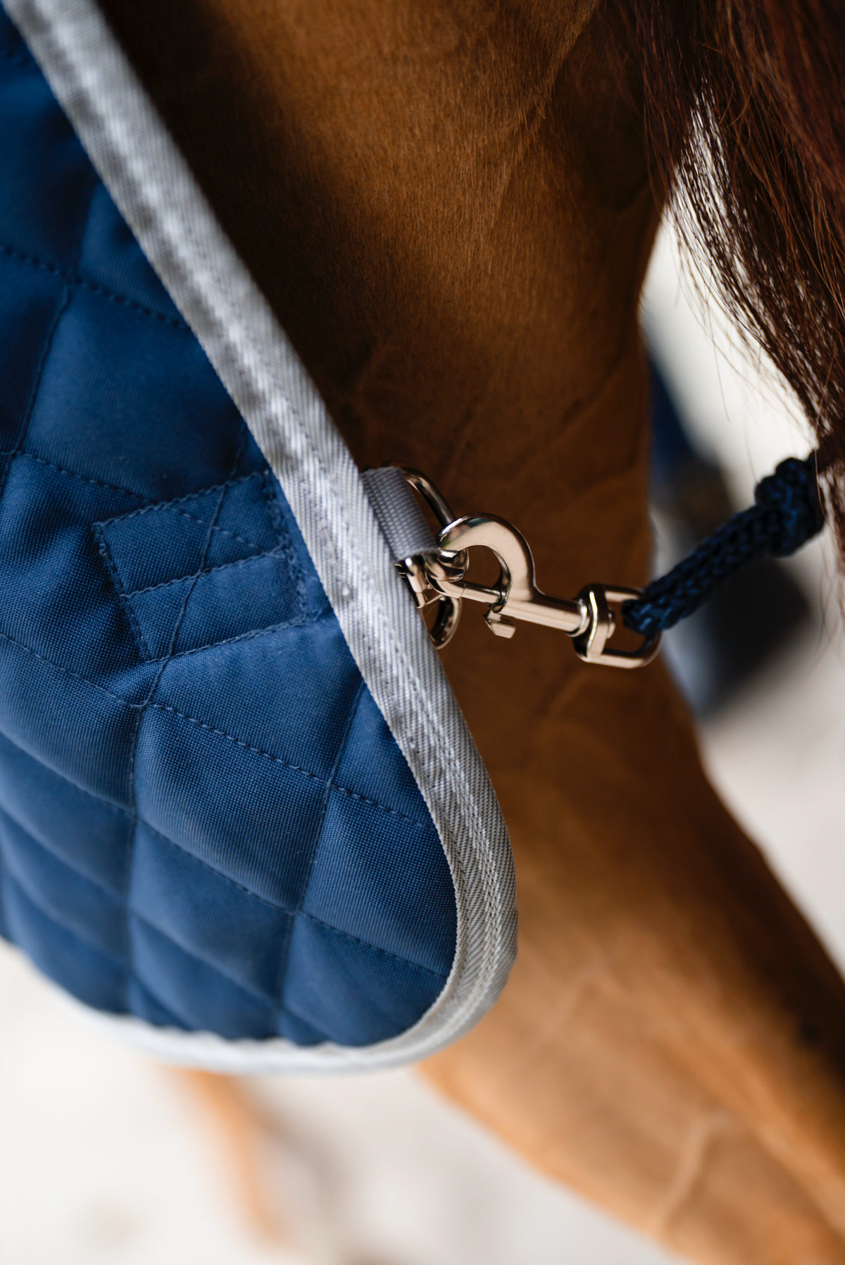 Amigo Quilted Stable Plus Detach-A-Neck - 4