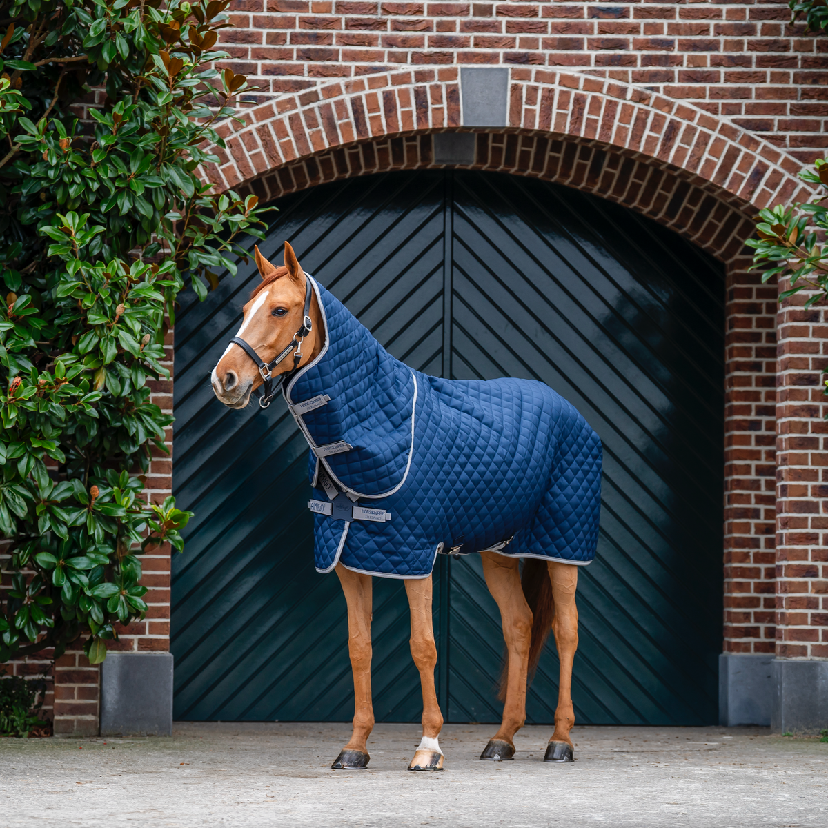 Amigo Quilted Stable Plus Detach-A-Neck