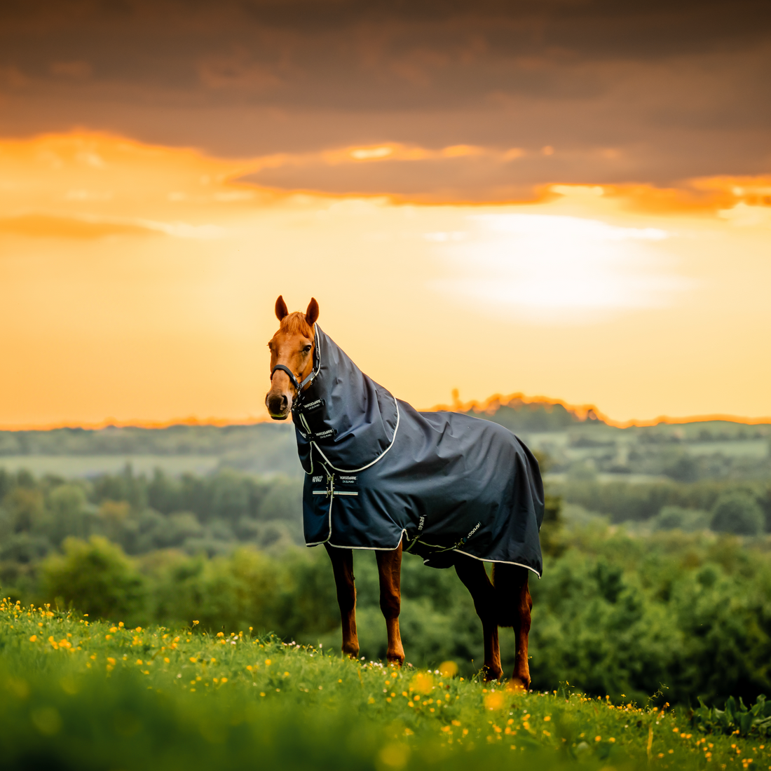 Amigo Ripstop 900D Plus Turnout Detach-A-Neck