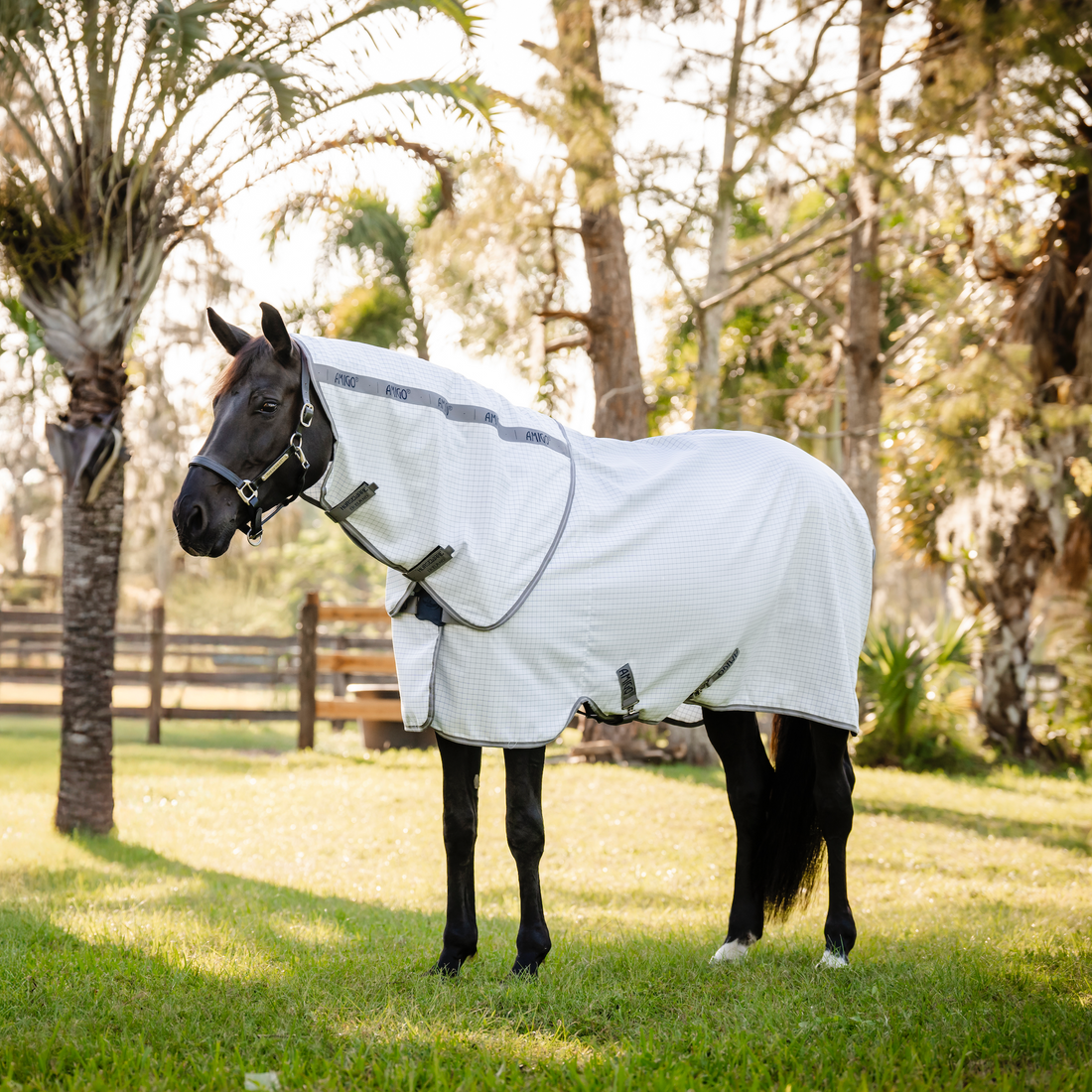 Amigo Summer Sheet Plus - 2