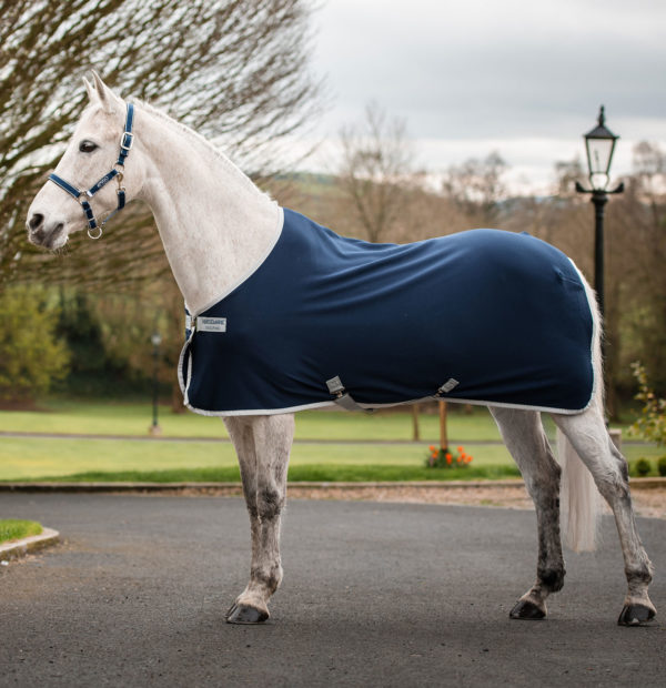 Amigo Pony Jersey Cooler Rug