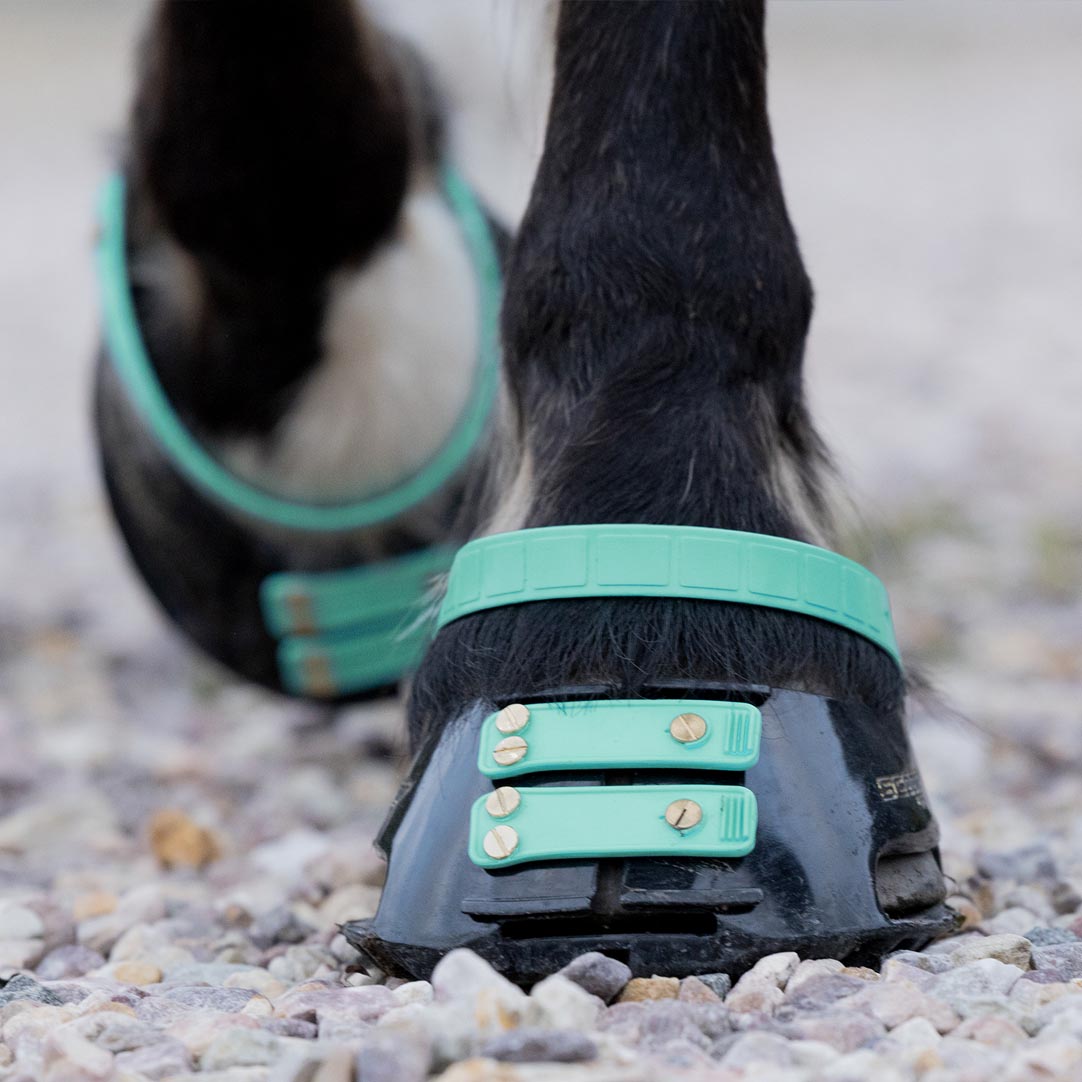 Scootboot Front Straps Standard