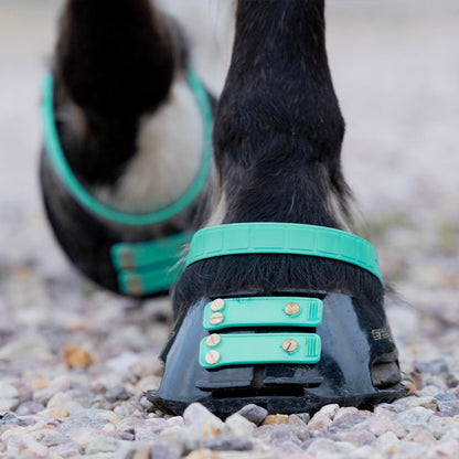 Scootboot Front Straps Standard