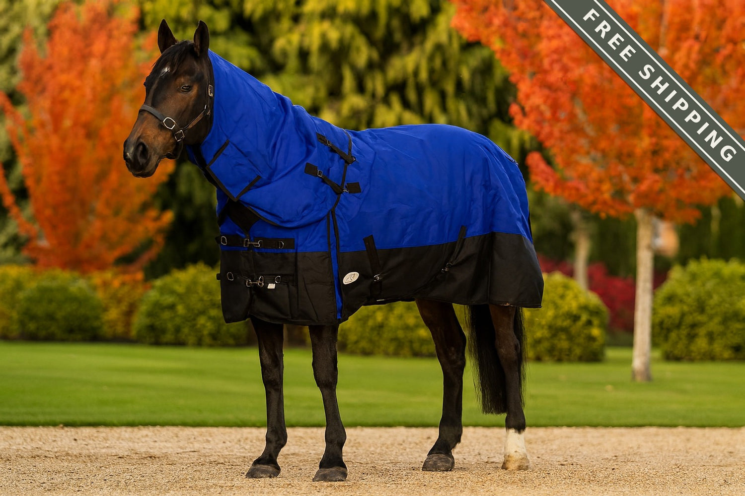 NZ Tack Duke 1200d Detacha-neck FREE SHIPPING