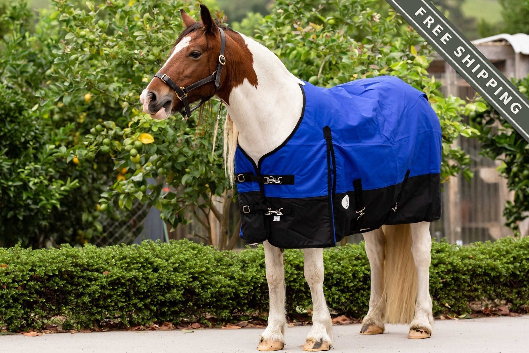 NZ Tack Duke 1200D Standard Neck FREE SHIPPING
