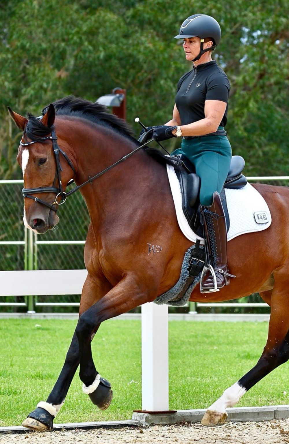 BARE Equestrian FlexForm Sculpting Riding Tights - 26