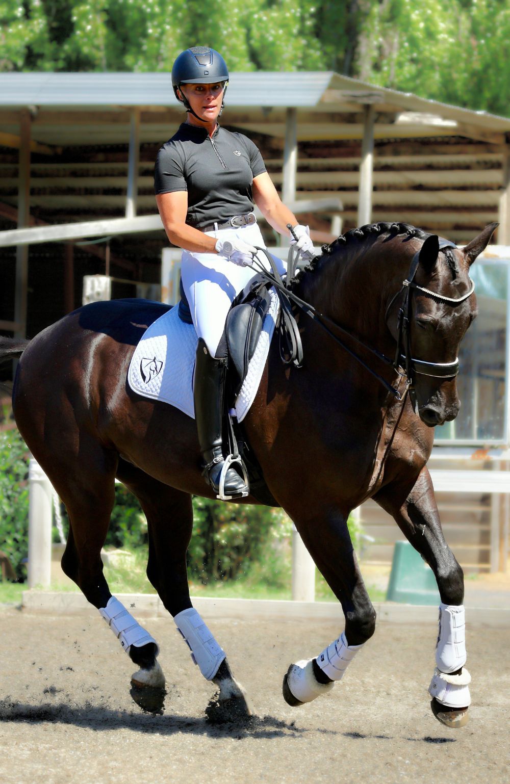 BARE Equestrian Sculpt Hybrid Riding Breeches - 45