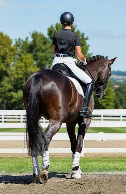 BARE Equestrian Sculpt Hybrid Riding Breeches - 47