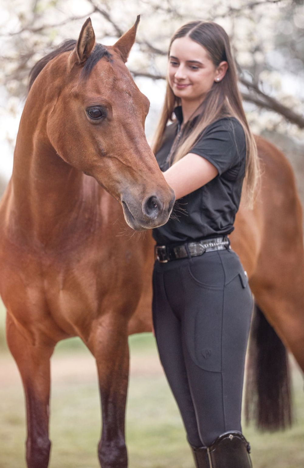 BARE Equestrian Sculpt Hybrid Riding Breeches - 48