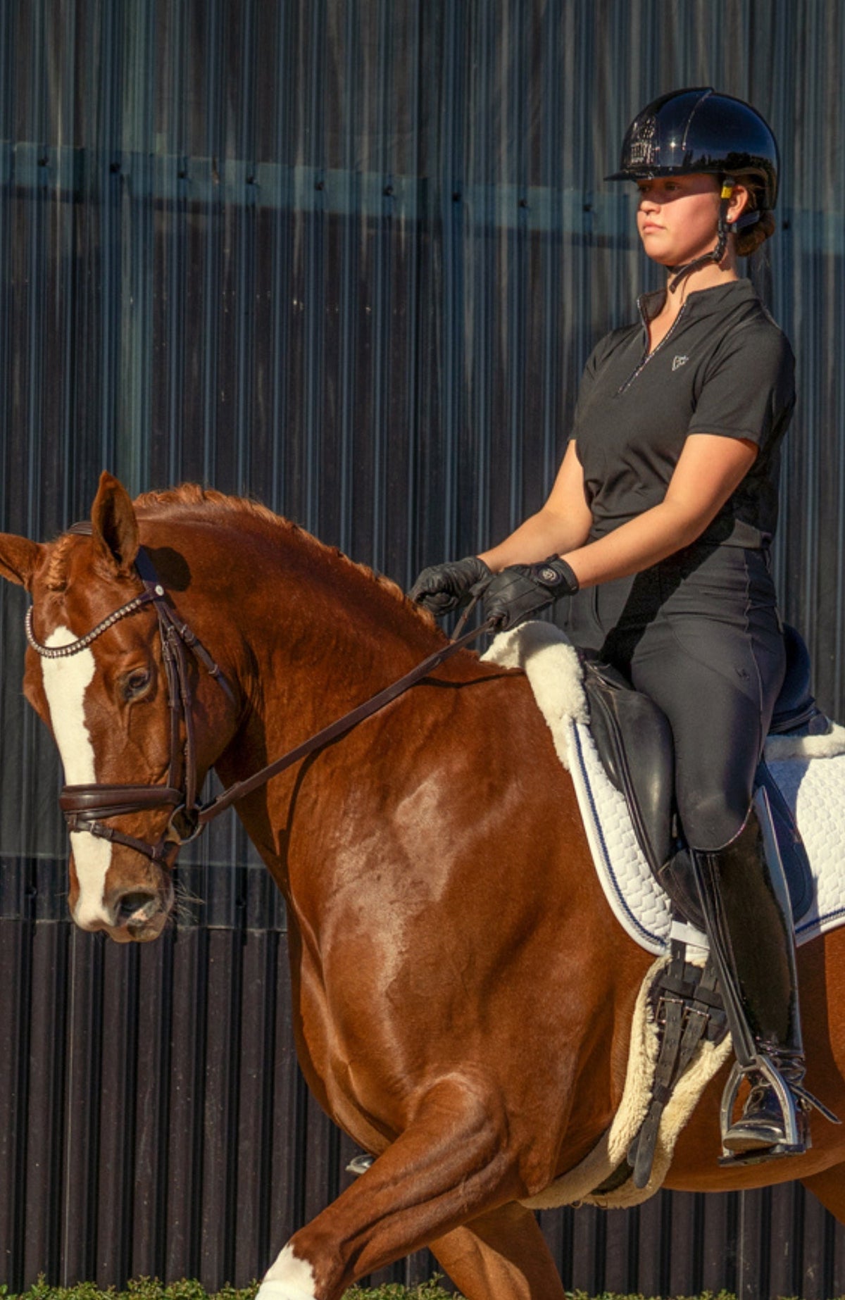 BARE Equestrian Sculpt Hybrid Riding Breeches - 52