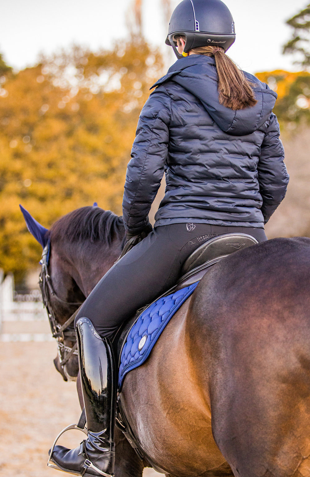 BARE Equestrian Signature Breeches - 48