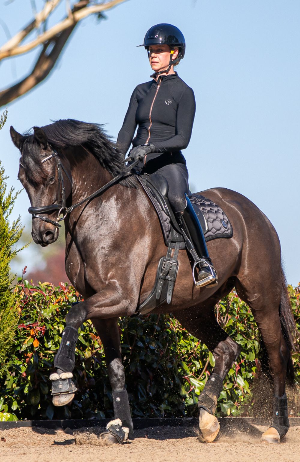 BARE Equestrian Signature Breeches - 49