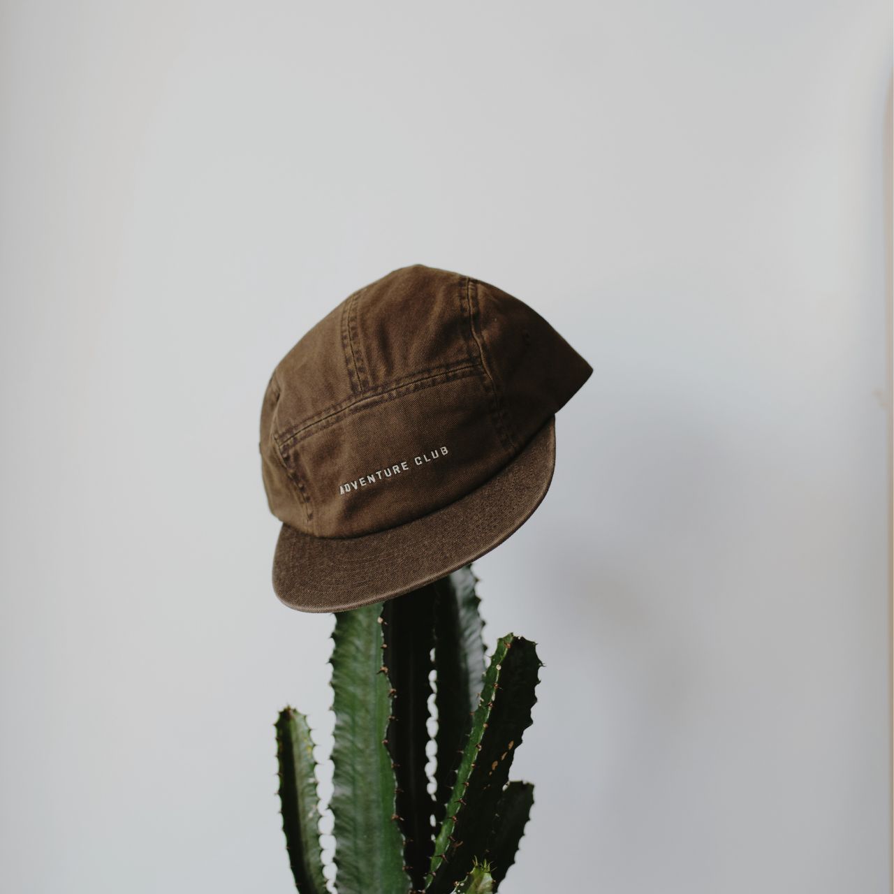 Will &amp; Bear Archie Walnut Brown 5 Panel Cap