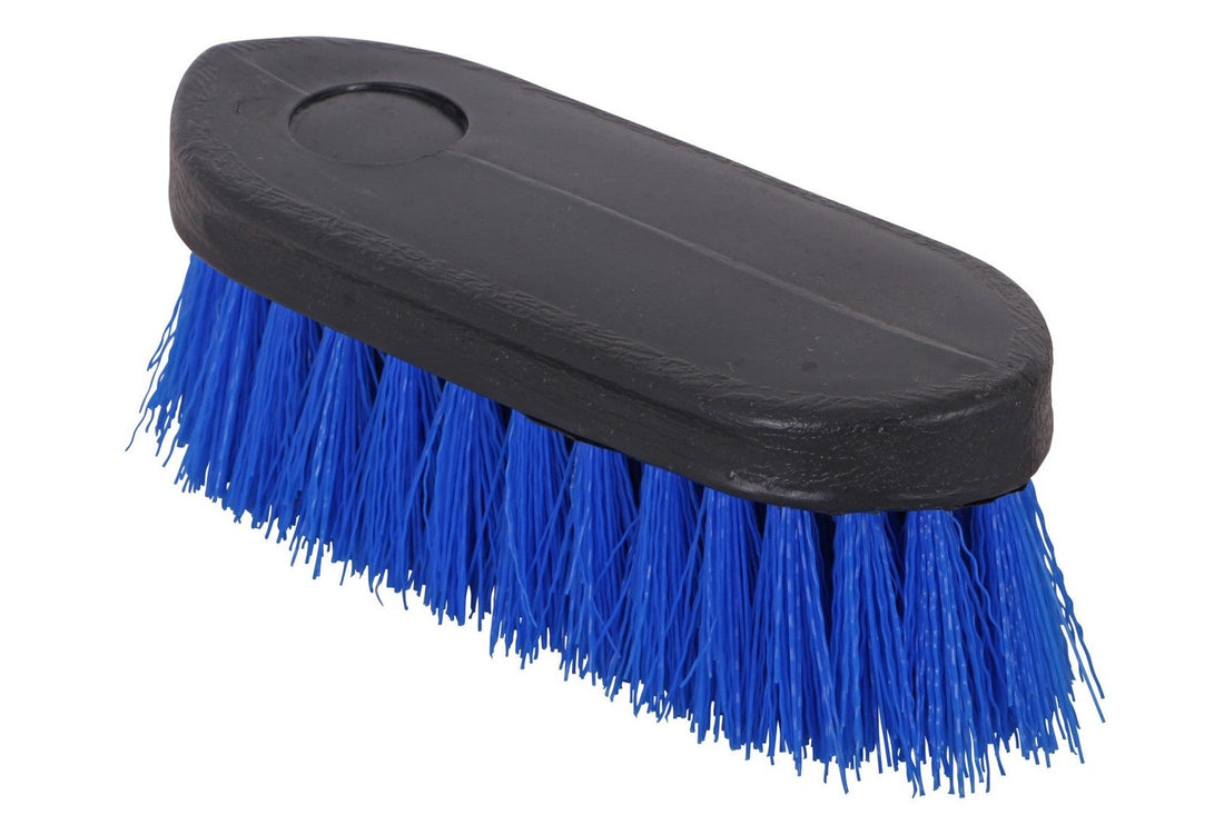 Blue Tag Dandy Brush Red Small