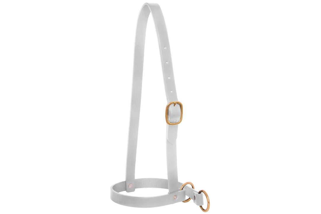 Blue Tag Leather Leading Calf Halter