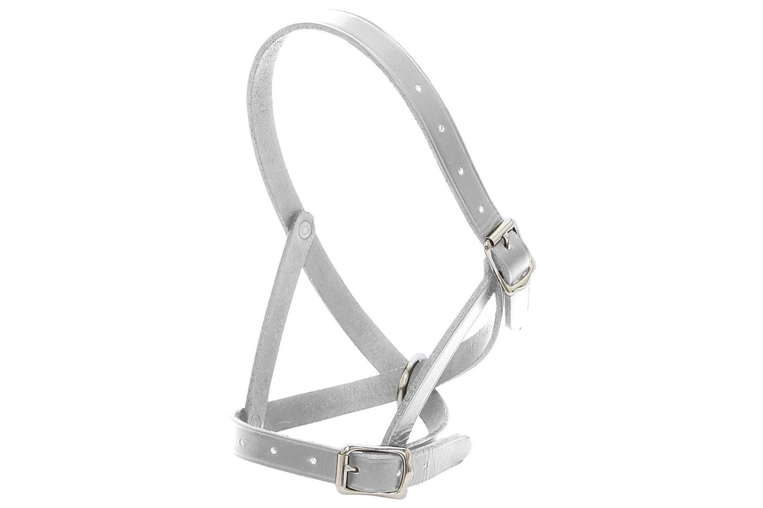 Blue Tag Leather Tethering Calf Halter - White
