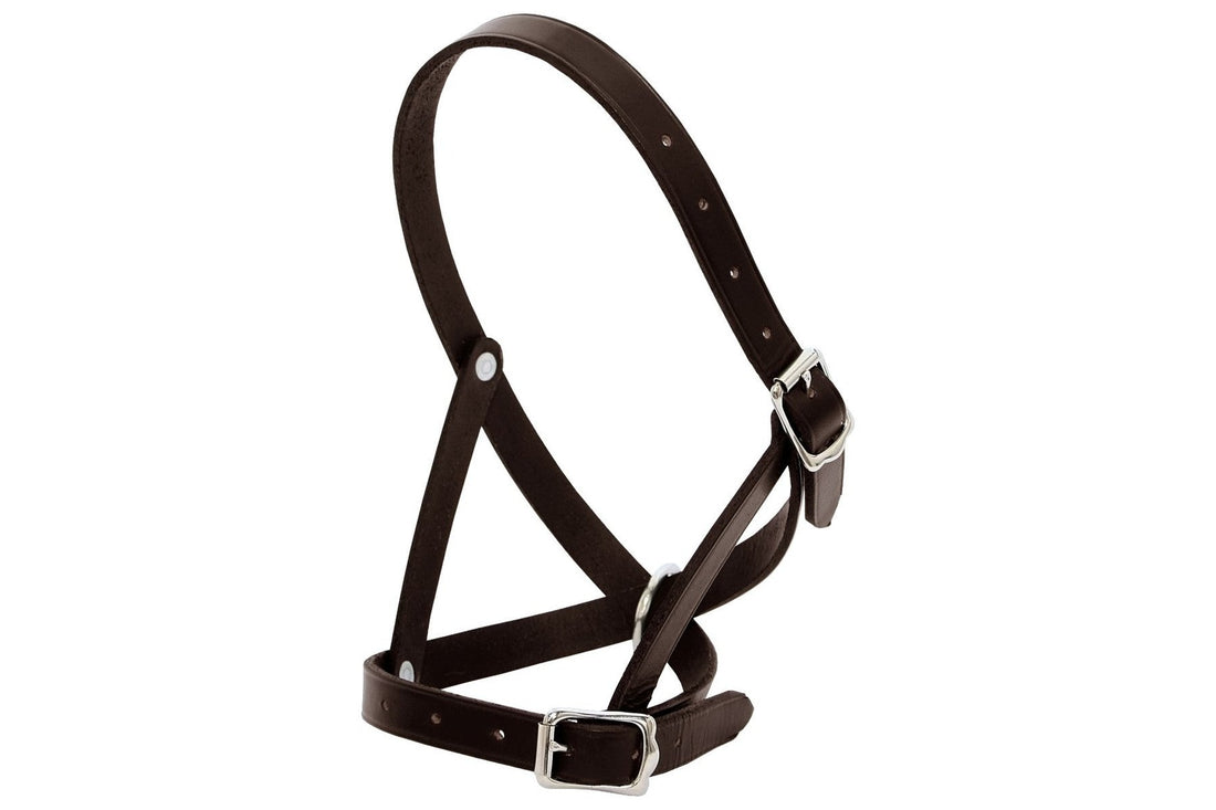 Blue Tag Leather Tethering Calf Halter