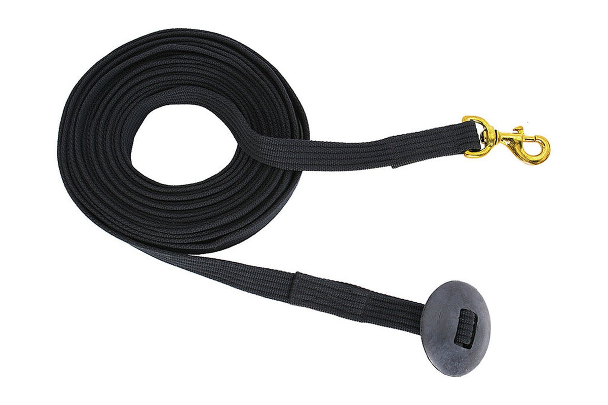 Blue Tag Lunge Lead