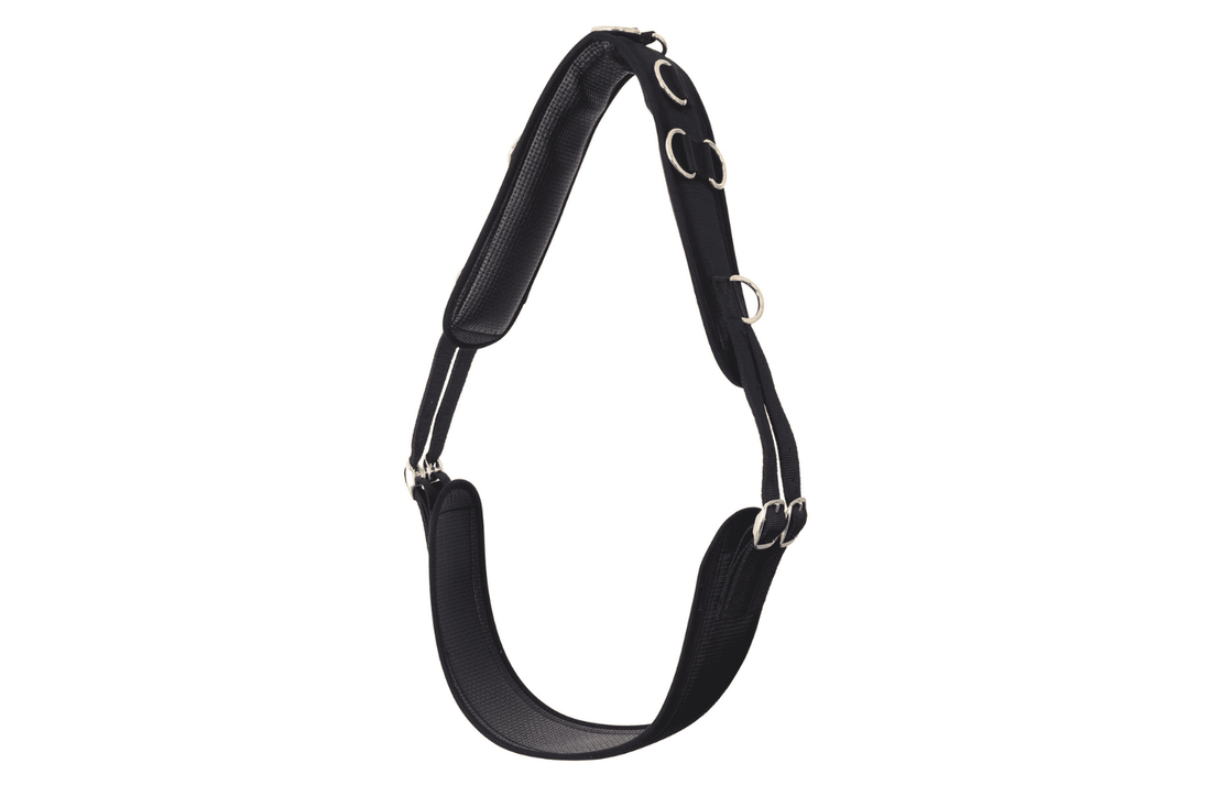Blue Tag Lunge Roller Anti Gall
