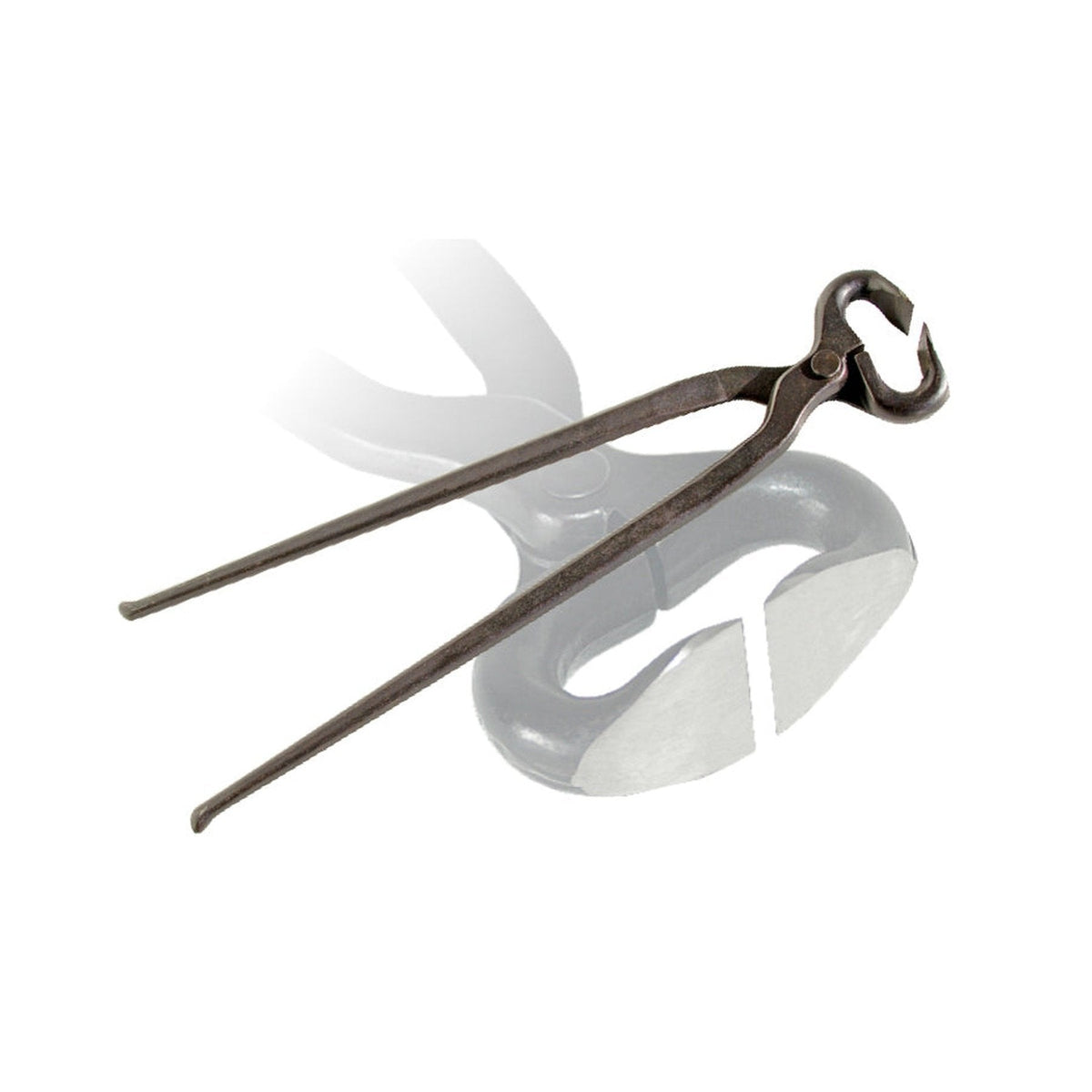 Blue Tag Professional Hoof Nipper - 2