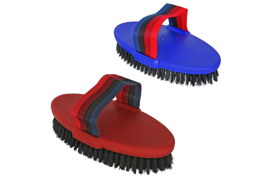 Blue Tag Rainbow Body Brush