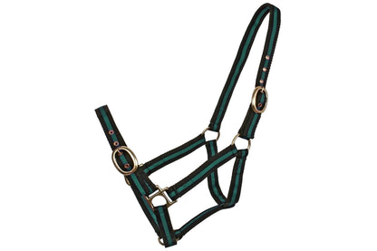 Blue Tag Striped Web Halters - Green