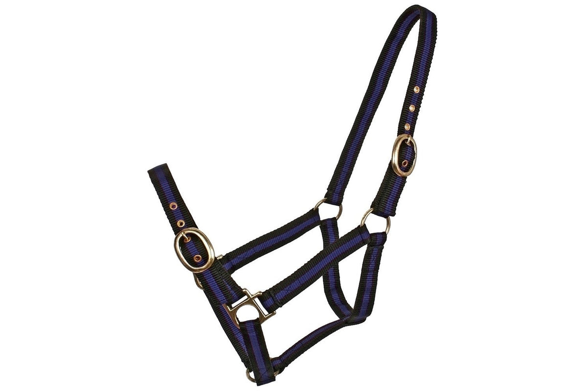 Blue Tag Striped Web Halters - Royal