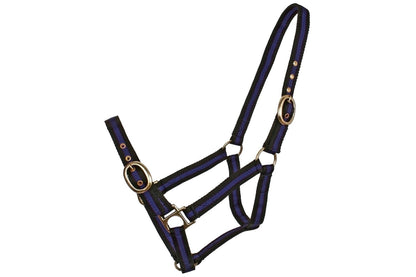 Blue Tag Striped Web Halters - Royal