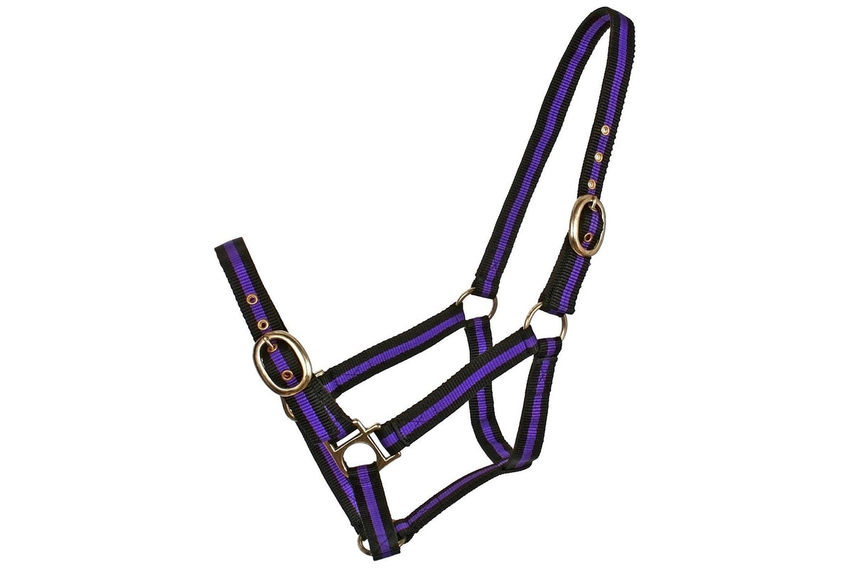 Blue Tag Striped Web Halters