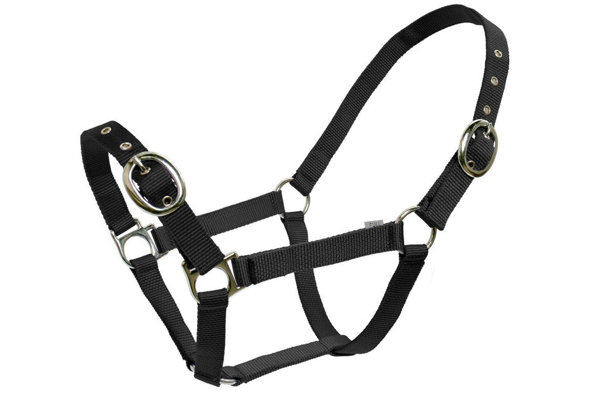 Blue Tag Web Halters - Black
