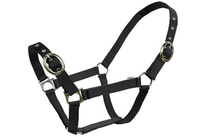 Blue Tag Web Halters - Black