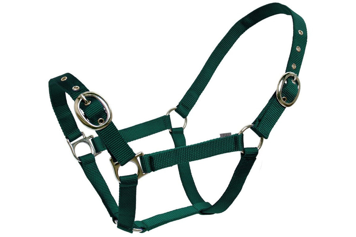 Blue Tag Web Halters - Dark Green