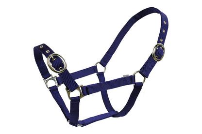 Blue Tag Web Halters - Navy