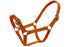 Blue Tag Web Halters - Orange