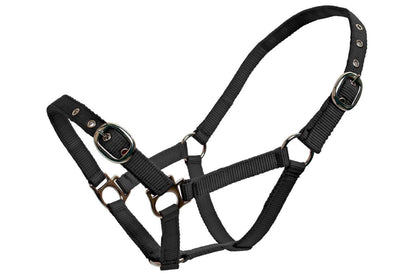 Blue Tag Web Halters Small Sizes - Black