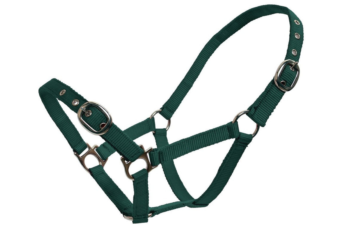 Blue Tag Web Halters Small Sizes - Dark Green