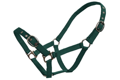 Blue Tag Web Halters Small Sizes - Dark Green