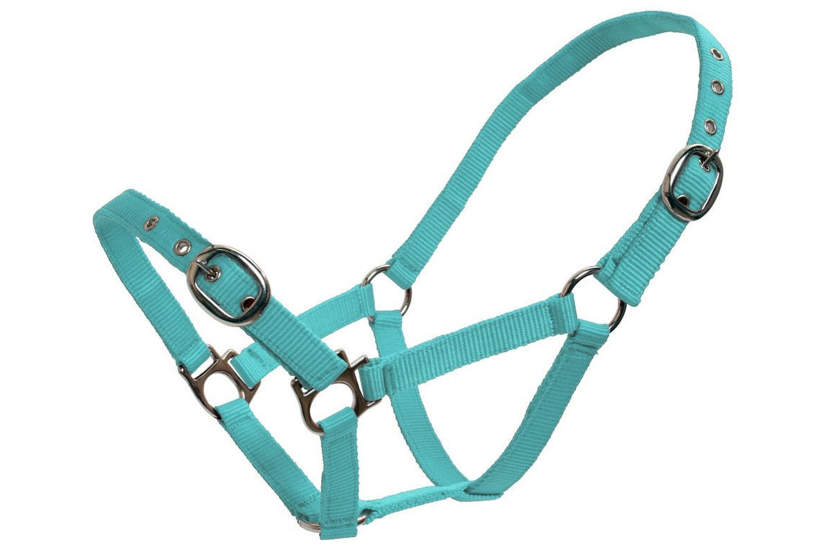 Blue Tag Web Halters Small Sizes - Light