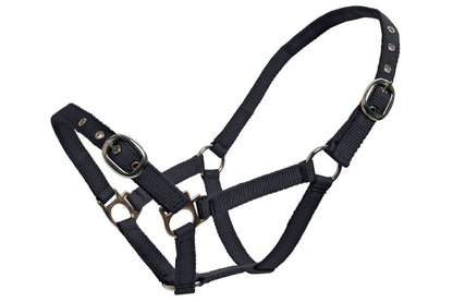 Blue Tag Web Halters Small Sizes - Navy