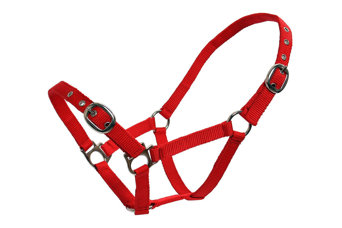Blue Tag Web Halters Small Sizes - Red