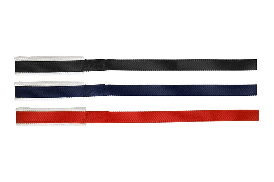 Blue Tag Web Lunge Lead