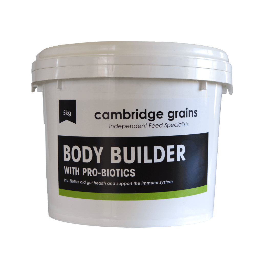 Cambridge Grains Body Builder