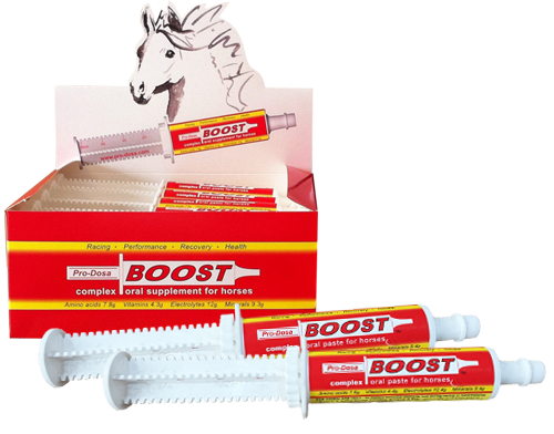 Pro-Dosa Boost Paste Syringe