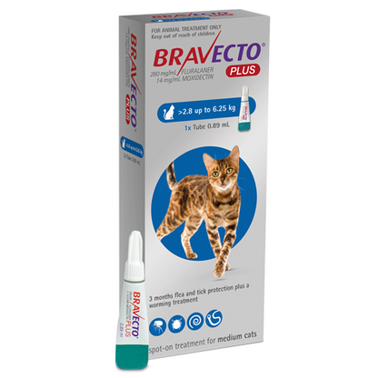 Bravecto Plus Medium cat 2.8-6.25kg