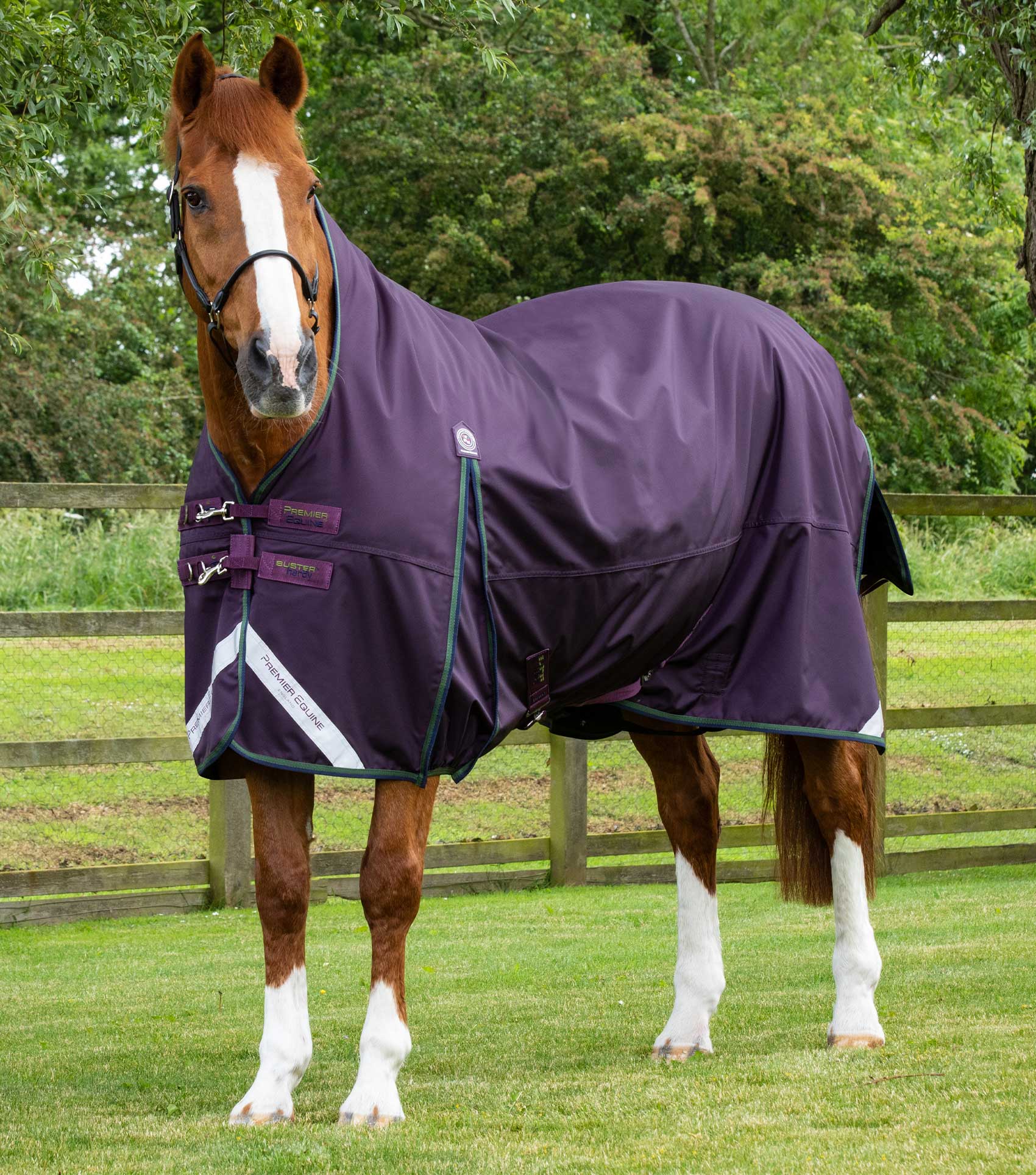 Description:Buster Hardy 100g Half Neck Turnout Rug_Colour:Purple_Position:1