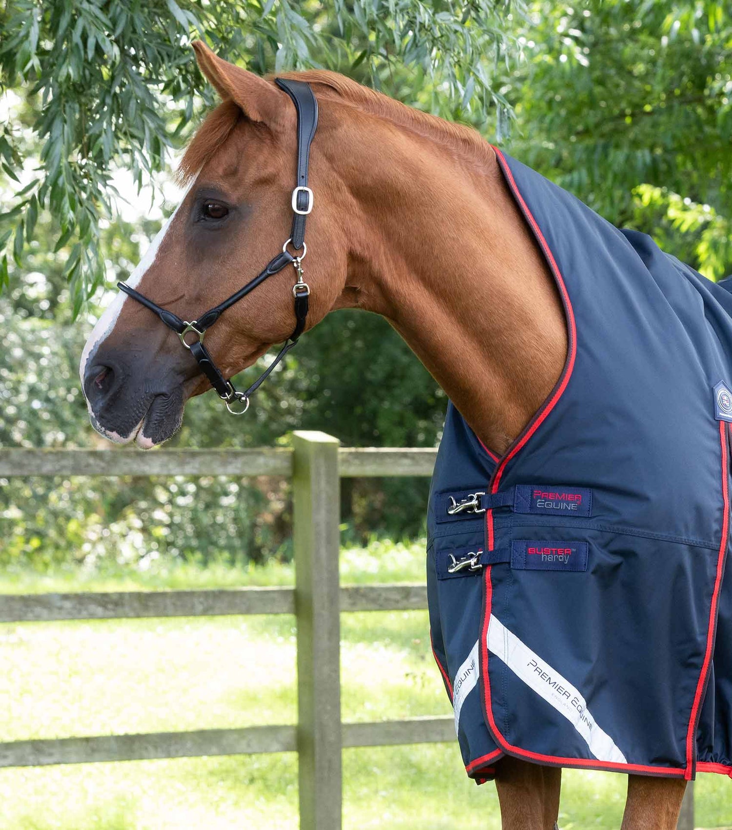 Premier Equine Buster Hardy Half Neck Turnout Rug