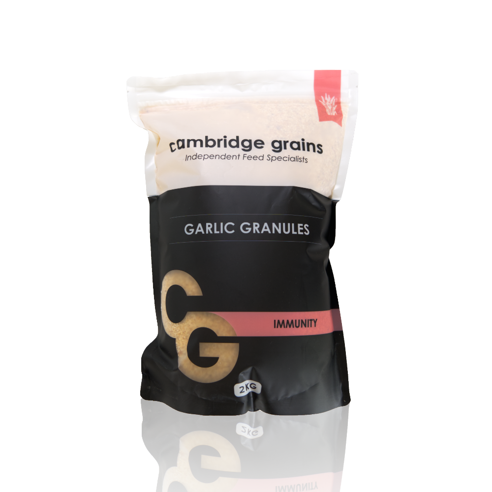 Cambridge Grains Garlic