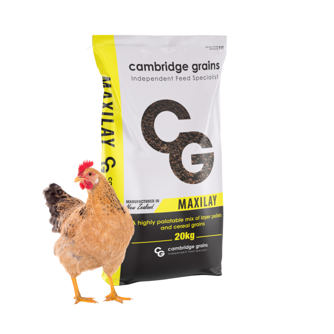 Cambridge Grains MaxiLay Poultry Pellet &amp; Cereal Mix