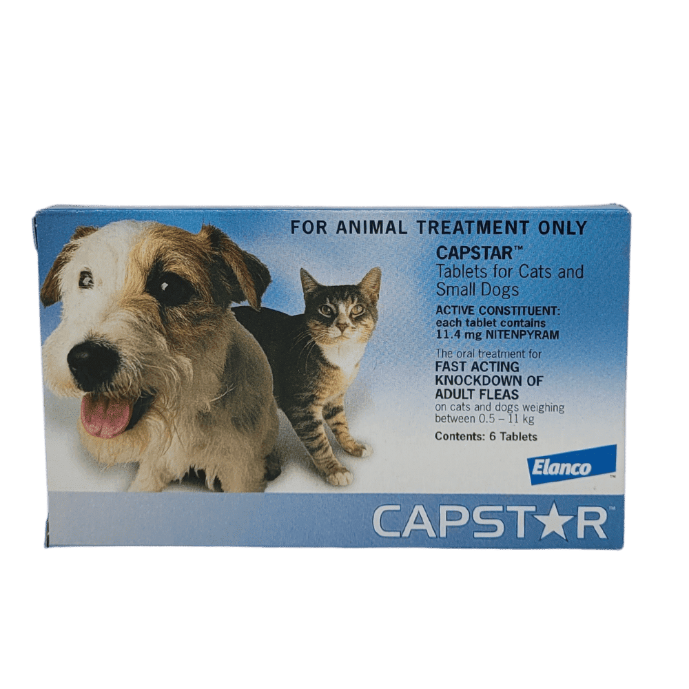 Capstar for cats and small dogs